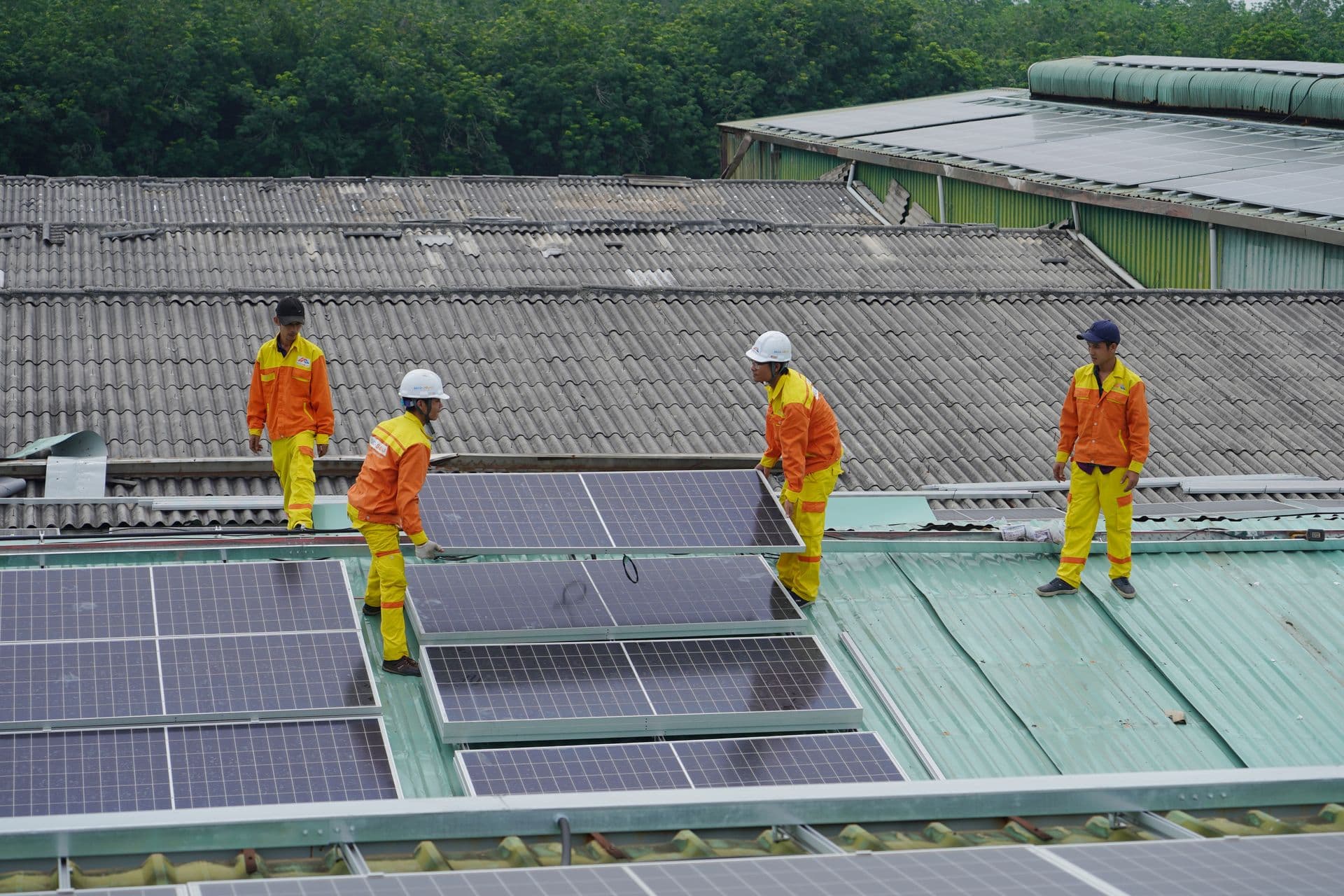 Solar panel installation under a clear sky