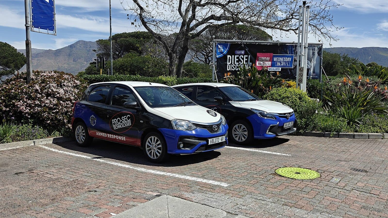 Branded private security response vehicles parked in Meadowridge, Cape Town, part of South Africa's private security industry